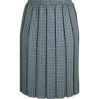 Lime Check Box Pleated Elasticated Skirt