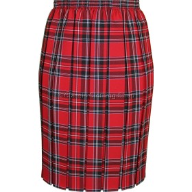 Red Fully Elasticated Box Pleated Skirt